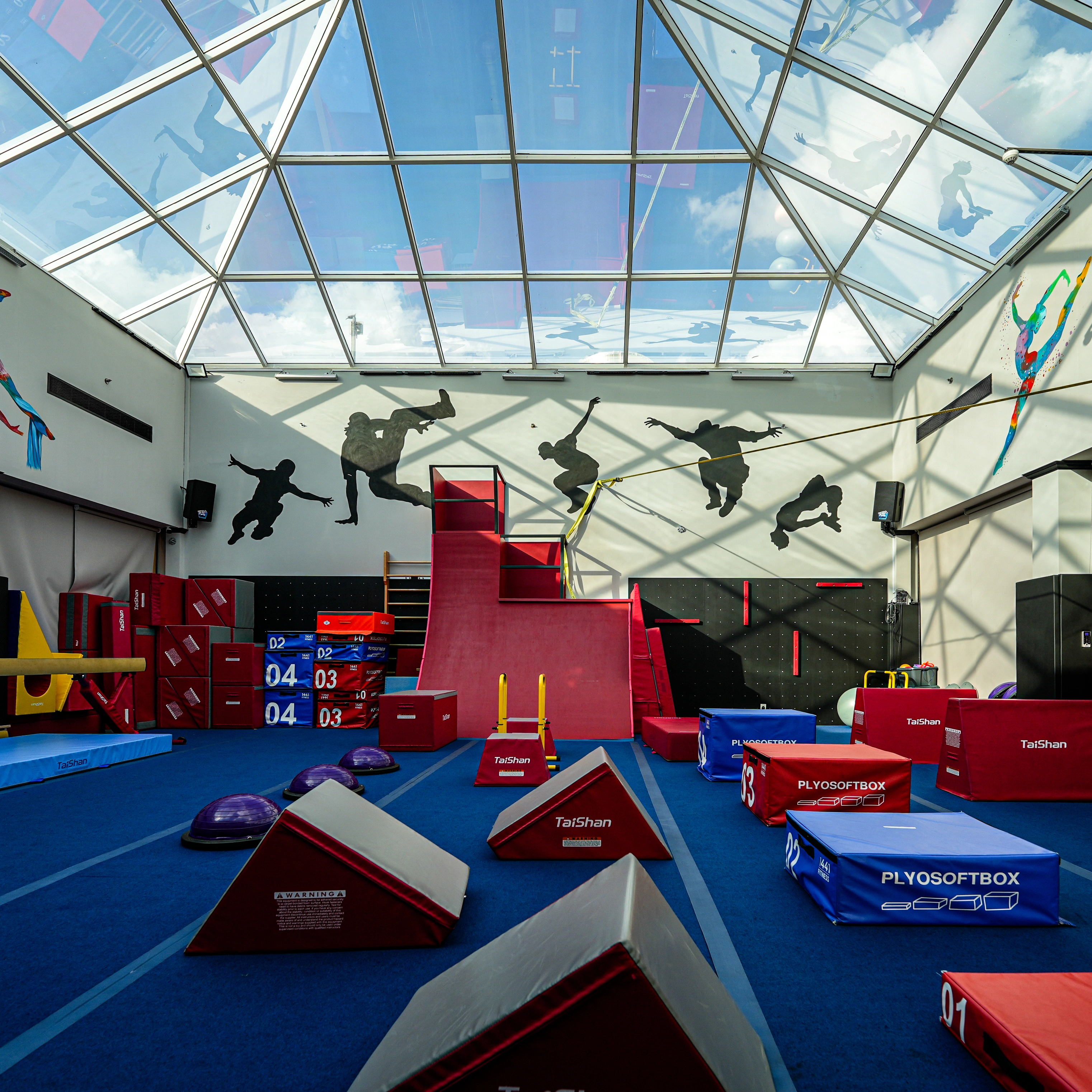 Gymnastics & Parkour